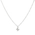 Silverfärgat halsband - bokstav N