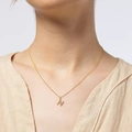 Guldpläterat halsband bokstav N - 42+3 cm