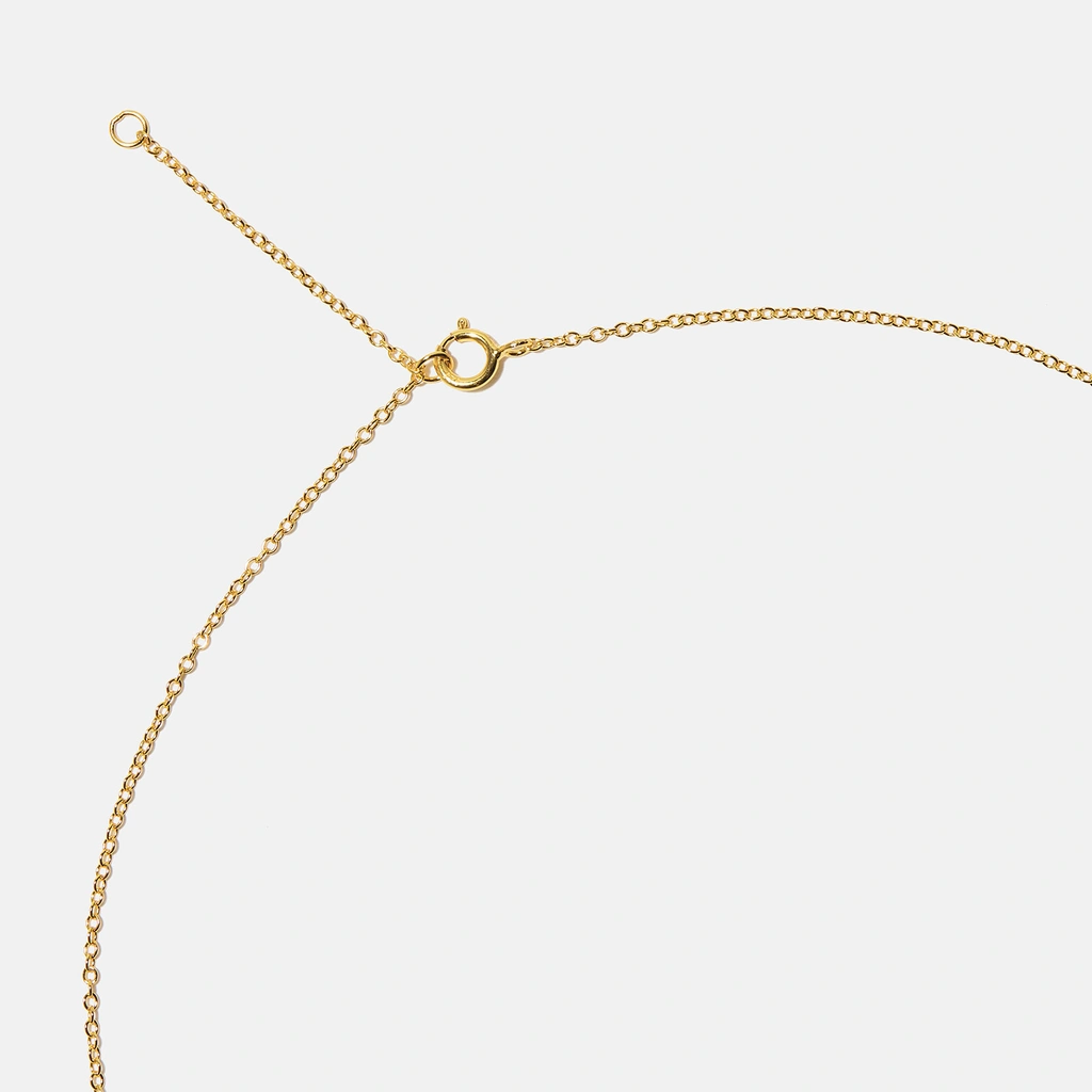 Guldpläterat halsband bokstav P - 42+3 cm