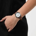Regal Classic line - brunt band, silverton/vit, 36mm