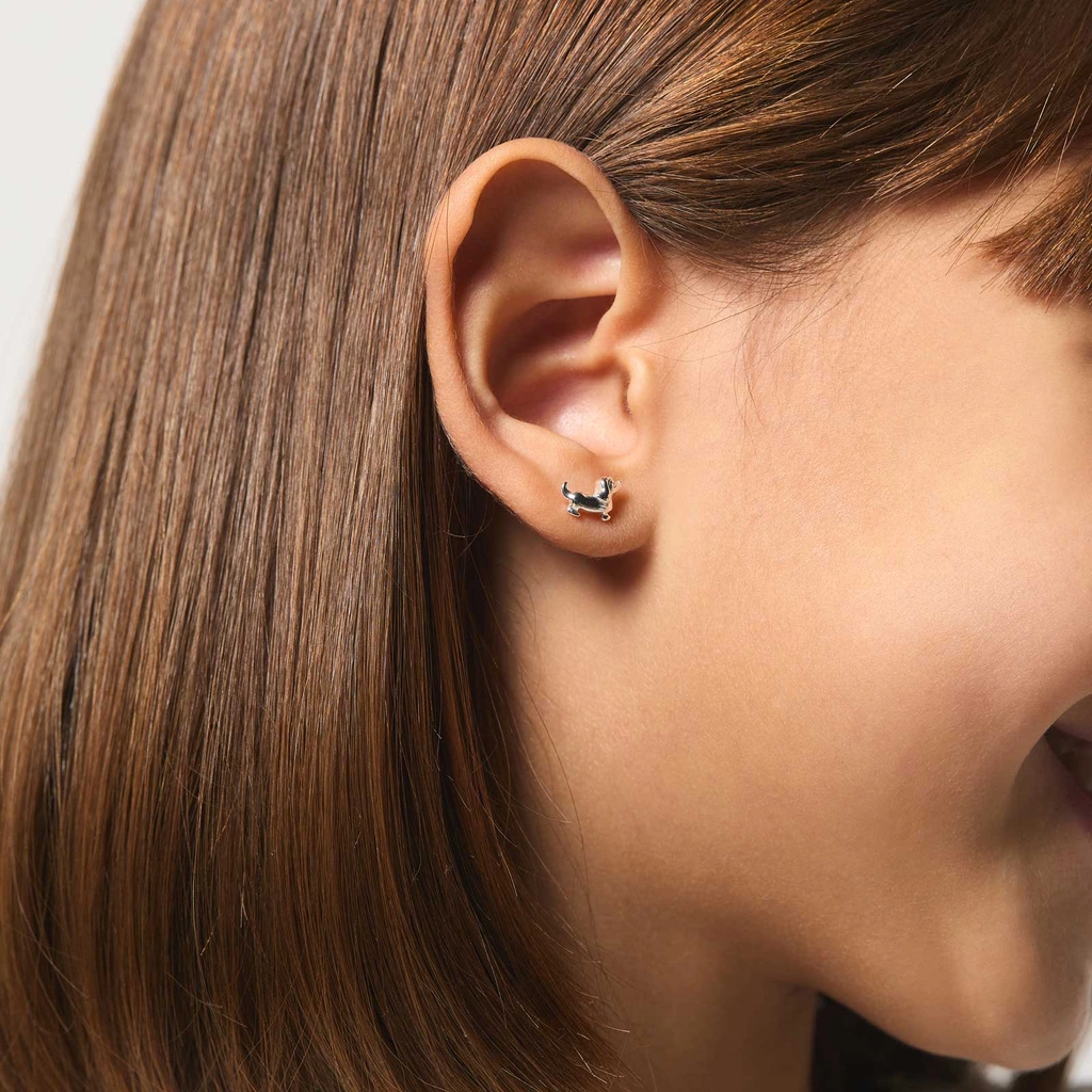 Silverörhängen för barn - taxar