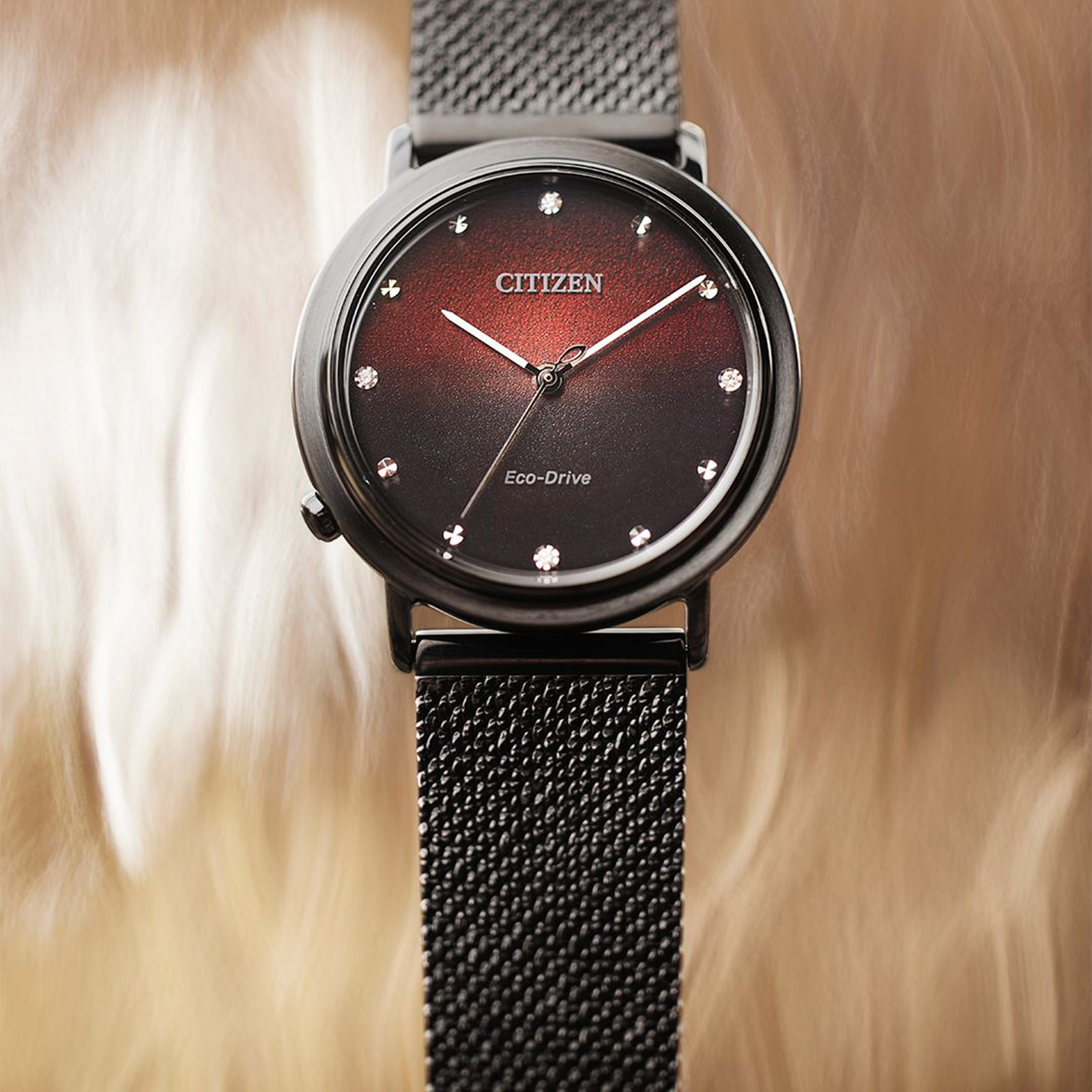 Citizen Anniversary Special Edition extra armband EM1007-47E