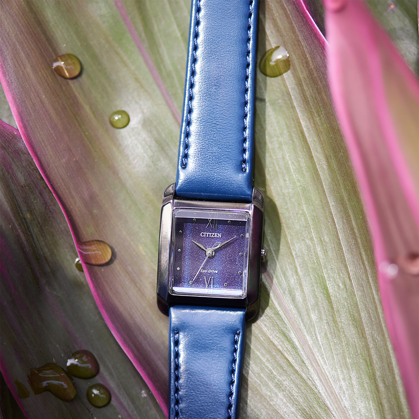 Citizen Eco-Drive damklocka, extra armband - EW5597-63L