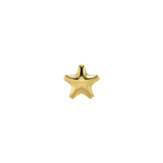 STUDEX - 1st guldpläterat örhänge, stjärna, 4mm