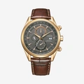 Citizen Radio Controlled herr, läder/guld - AT8263-10H
