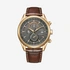 Citizen Radio Controlled herr, läder/guld - AT8263-10H