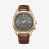 Citizen Eco Drive Radio Controlled läder/guld - CB0273-11H