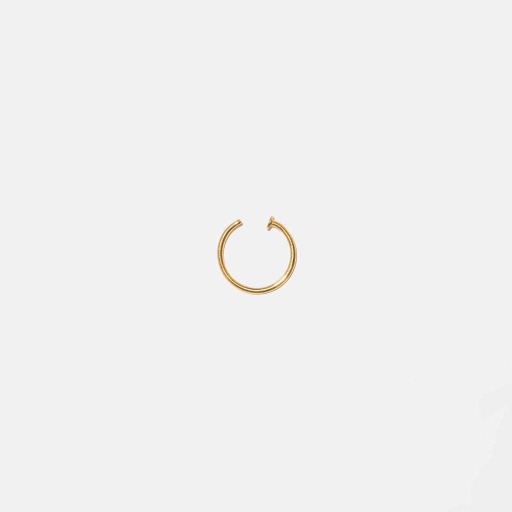 Guldfärgad näspiercing i titanlegering - ring