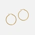 Guldpläterade stålörhängen - hoops 40mm