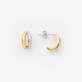 Silverörhängen bicolor - hoops, 13mm
