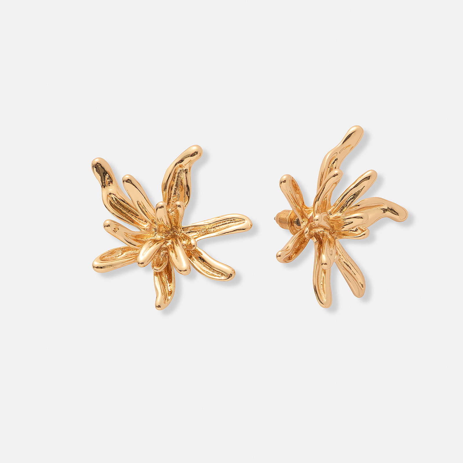 Guldfärgade örhängen, vildblommor - 30 mm