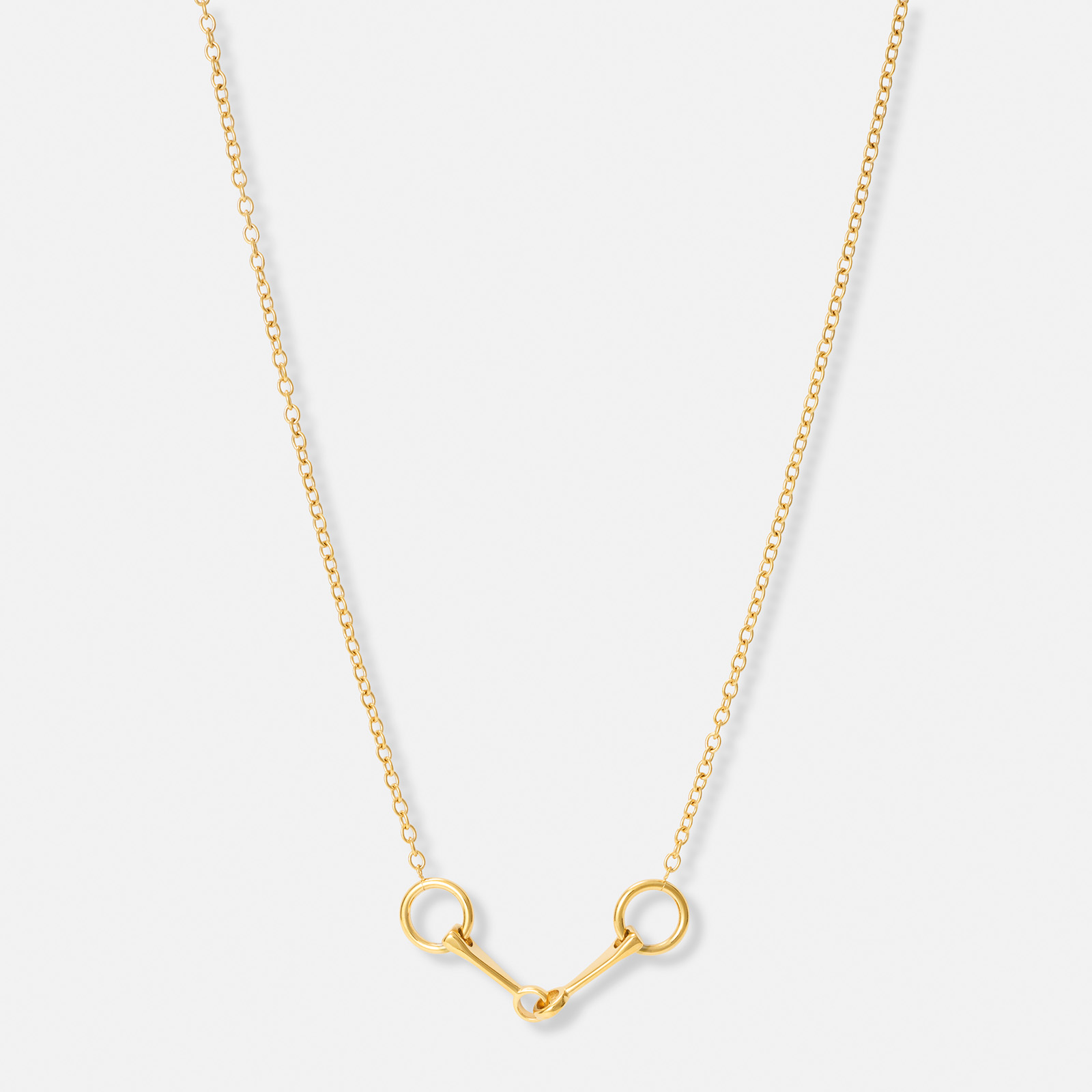 Guldpläterat stålhalsband med tränsbett - 40+5 cm