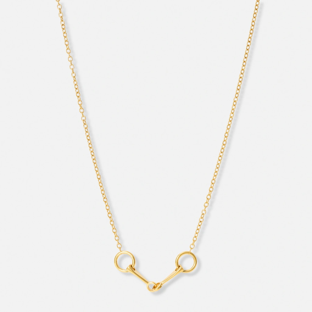 Guldpläterat stålhalsband med tränsbett - 40+5 cm