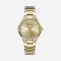 Scotch & Soda dam guld, metallband - SSW.128C