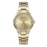 Scotch & Soda dam guld, metallband - SSW.128C