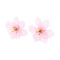 Örhängen, stora rosa blommor med gulddetaljer - 5cm