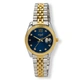 Regal dam blå/bicolor, metallband - R89056-342